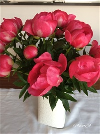 a6e43038-20170604 Ri božuri.jpg